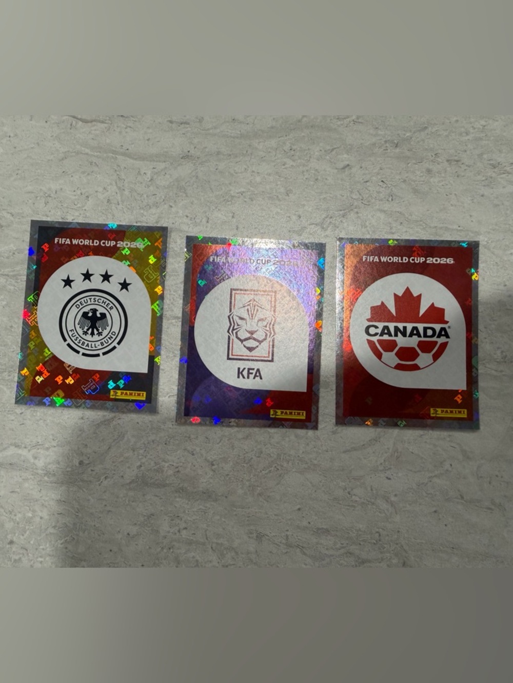 Panini FIFA Official Licensed Product Sticker — Black & Gray
